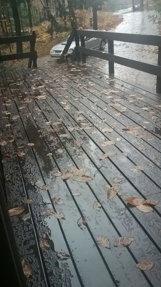 Slide of Woodsville Concepts