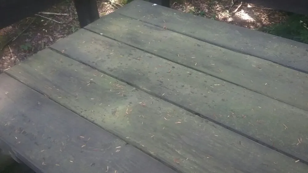 Slide of Woodsville Concepts