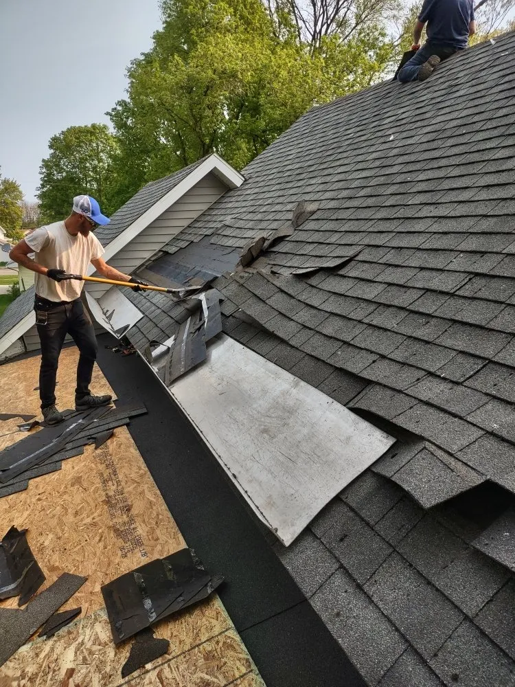 Professional residential roofing service experts serving Fountain, MI - Wooooo-Halla Oddities