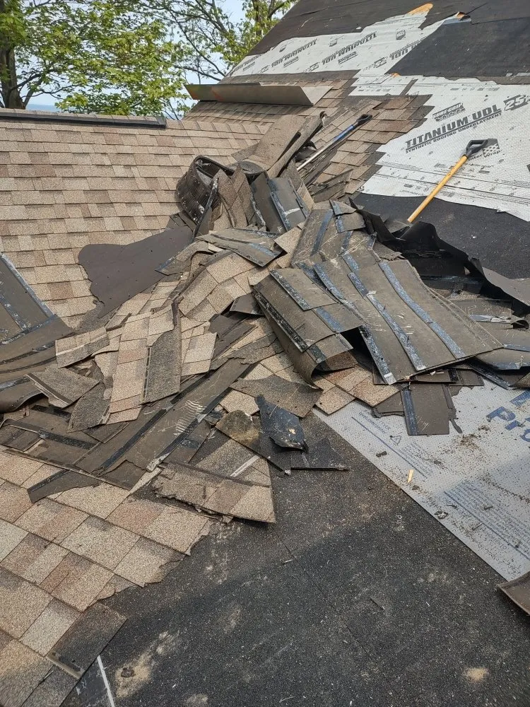 Local shingle roofing service in Fountain, MI by Wooooo-Halla Oddities