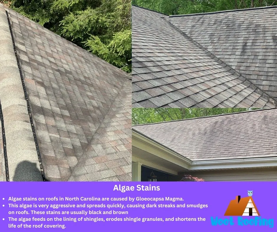Slide of Woot Roofing