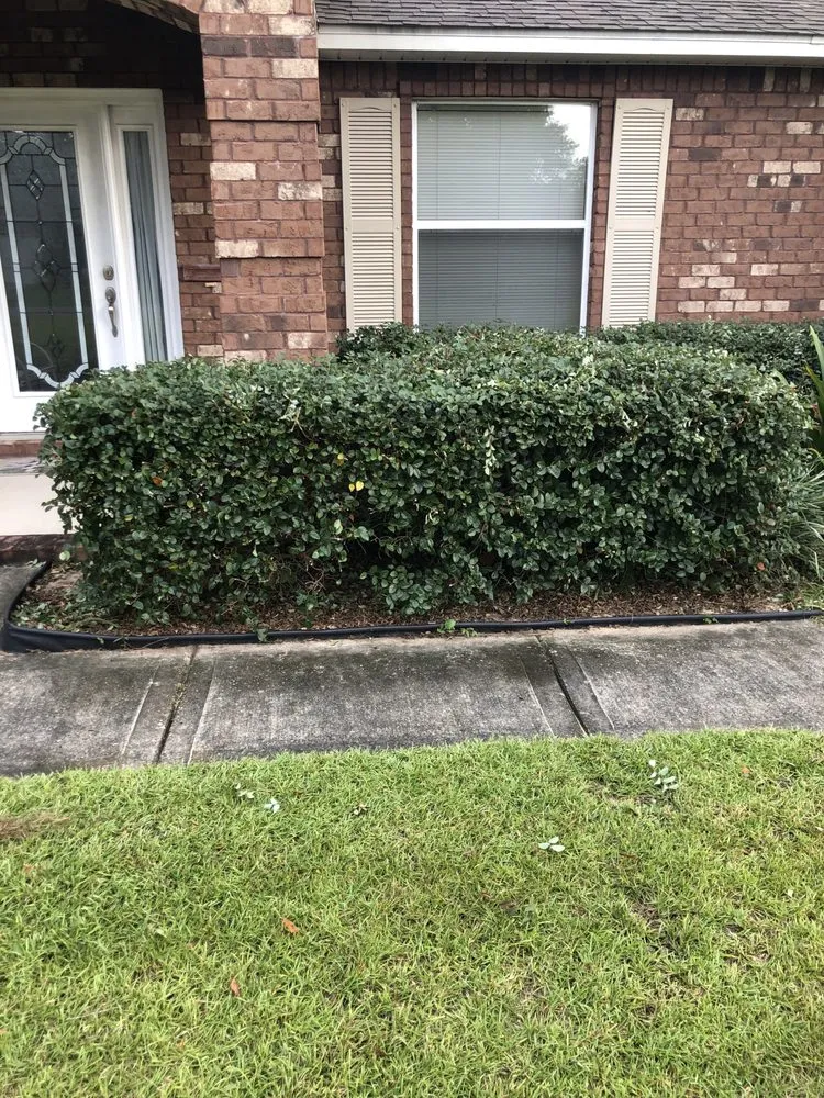 Slide of Workhorse Landscaping & property maintenance