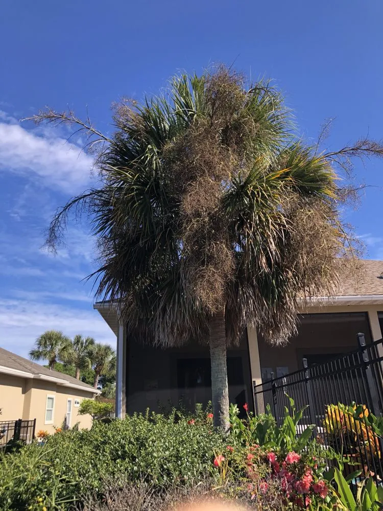 Slide of Workhorse Landscaping & property maintenance