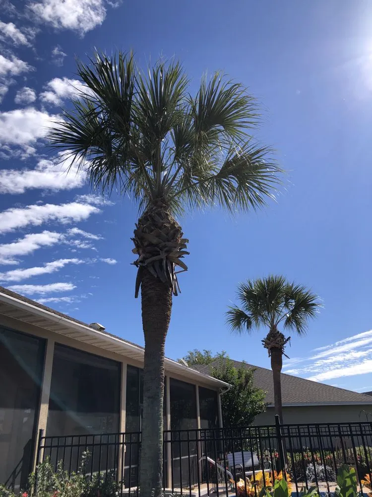 Slide of Workhorse Landscaping & property maintenance