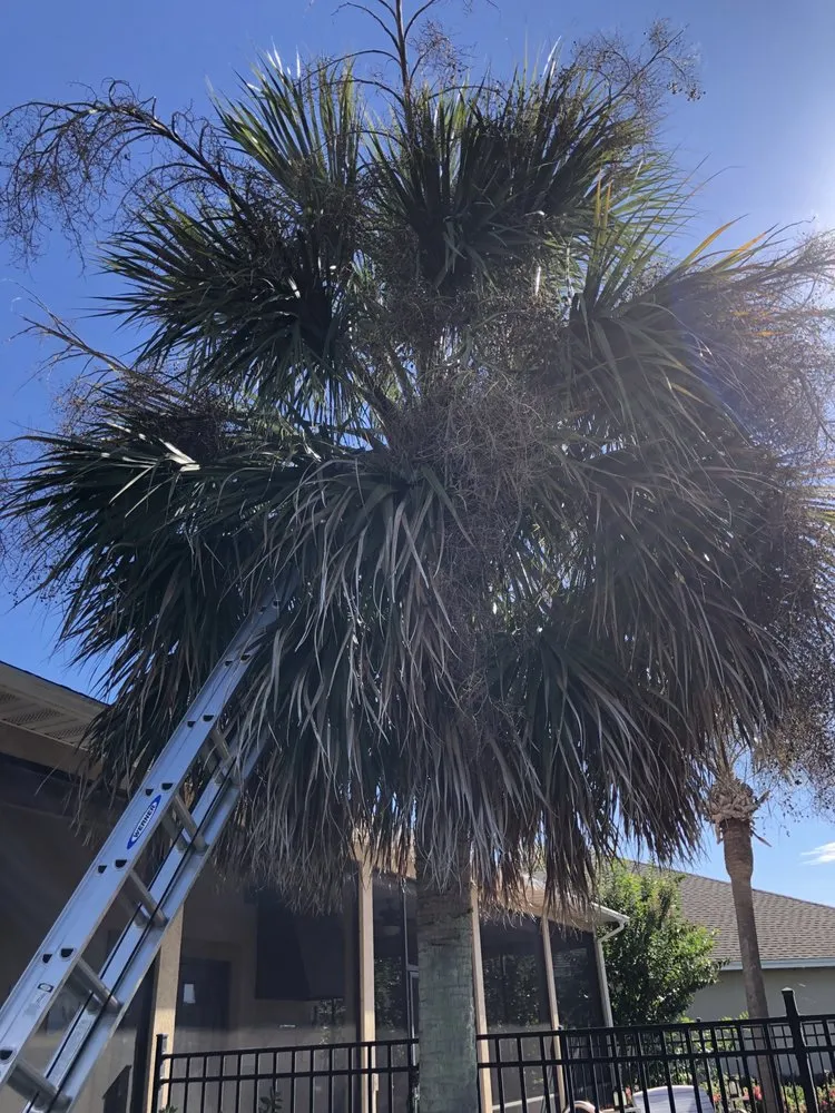 Slide of Workhorse Landscaping & property maintenance