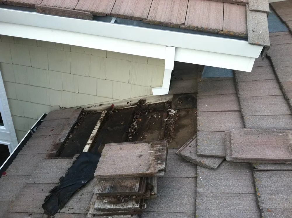 Slide of World Exteriors