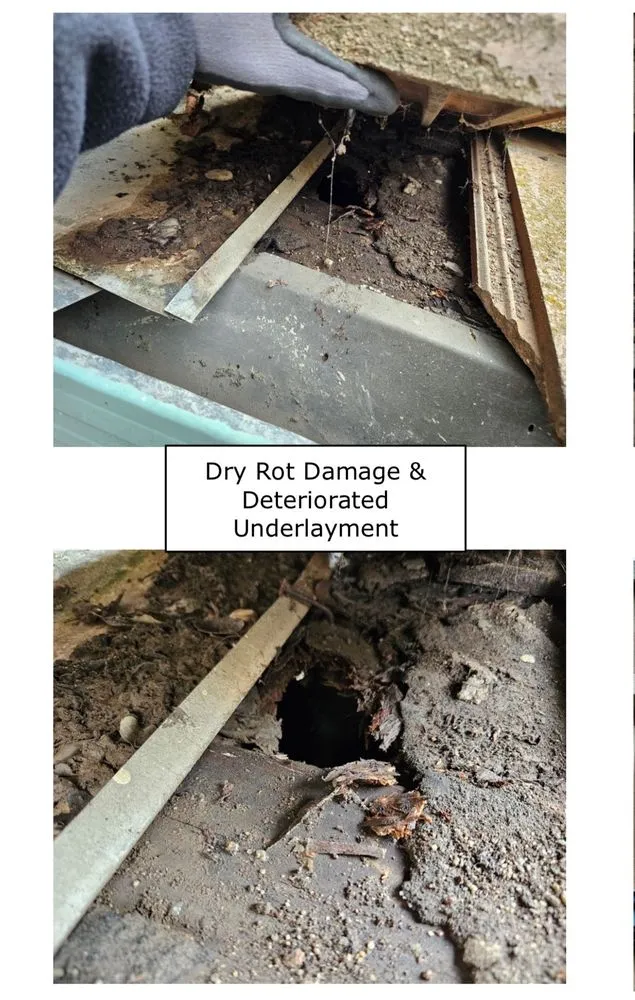 Slide of World Exteriors