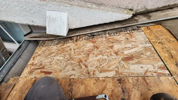 World Exteriors Logo