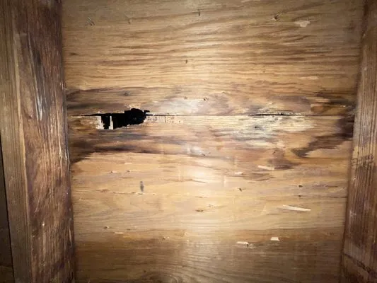 Worthmann Roofing & Gutters