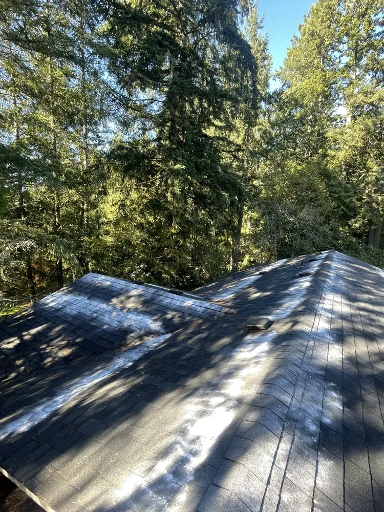 Slide of Wright Moss Removal