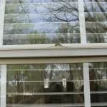 Slide of Written In Stone