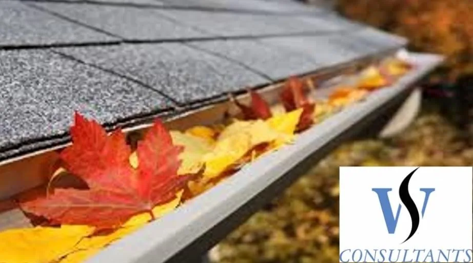 Slide of WS Consultants