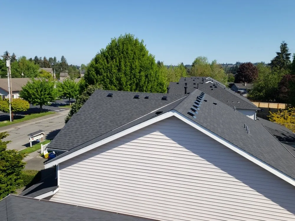 Slide of WS General Services