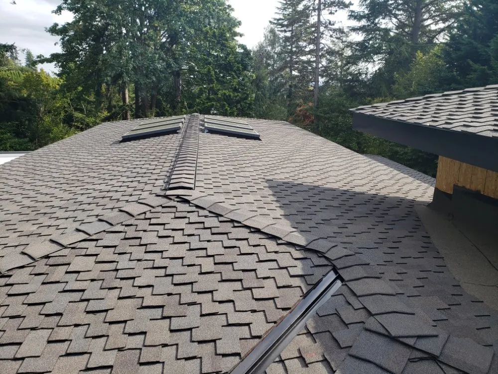 Slide of WS General Services