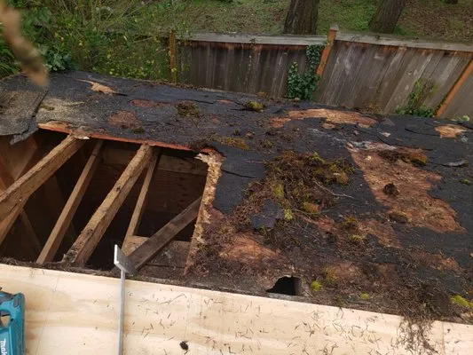 WS General Services Logo