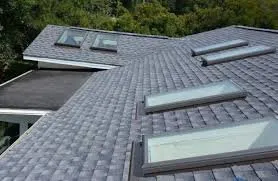 Slide of WT Anderson