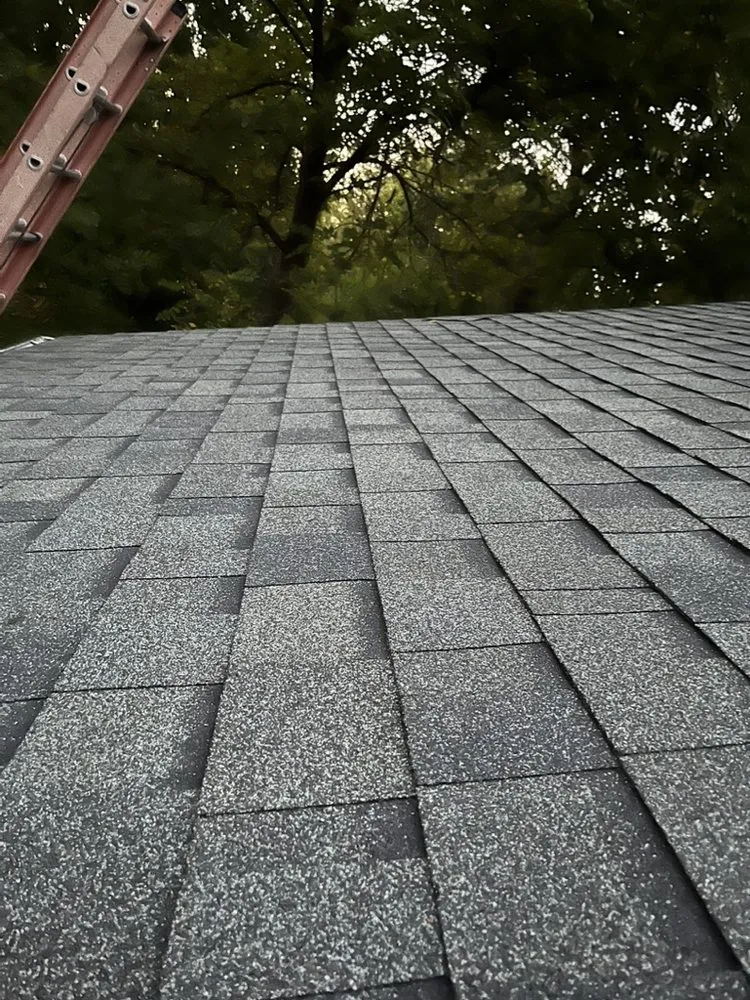 Slide of Wyatt Construct