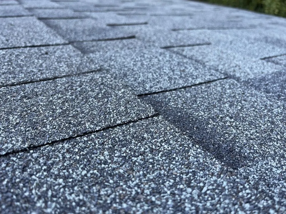 Slide of Wyatt Construct