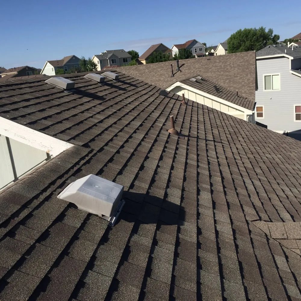 Slide of X-Cel Restoration