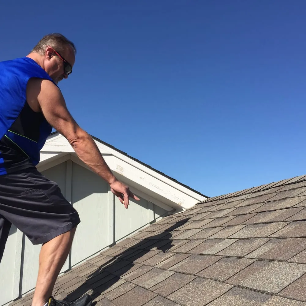 Slide of X-Cel Restoration