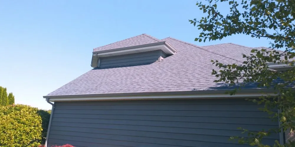 Slide of X Man Construction & Remodeling