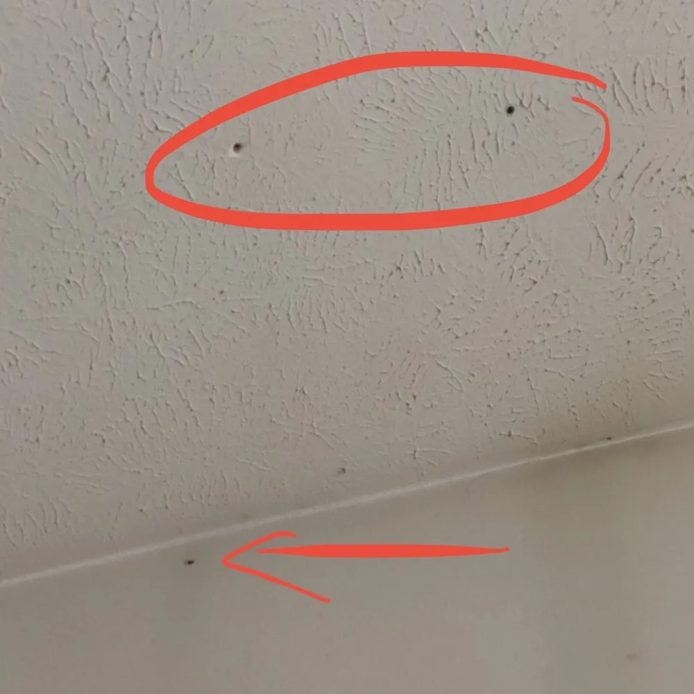 Slide of Xcel Roofing