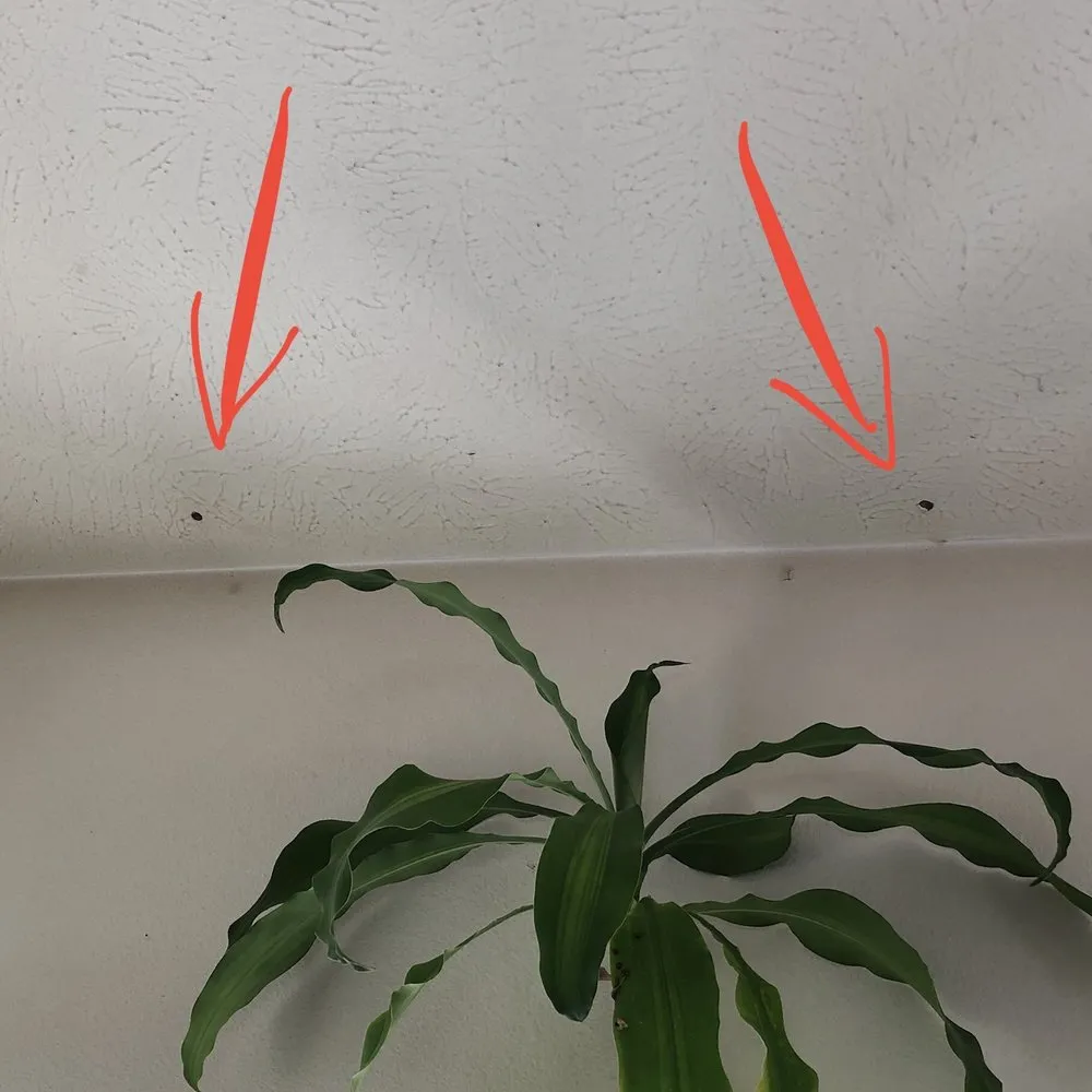 Slide of Xcel Roofing