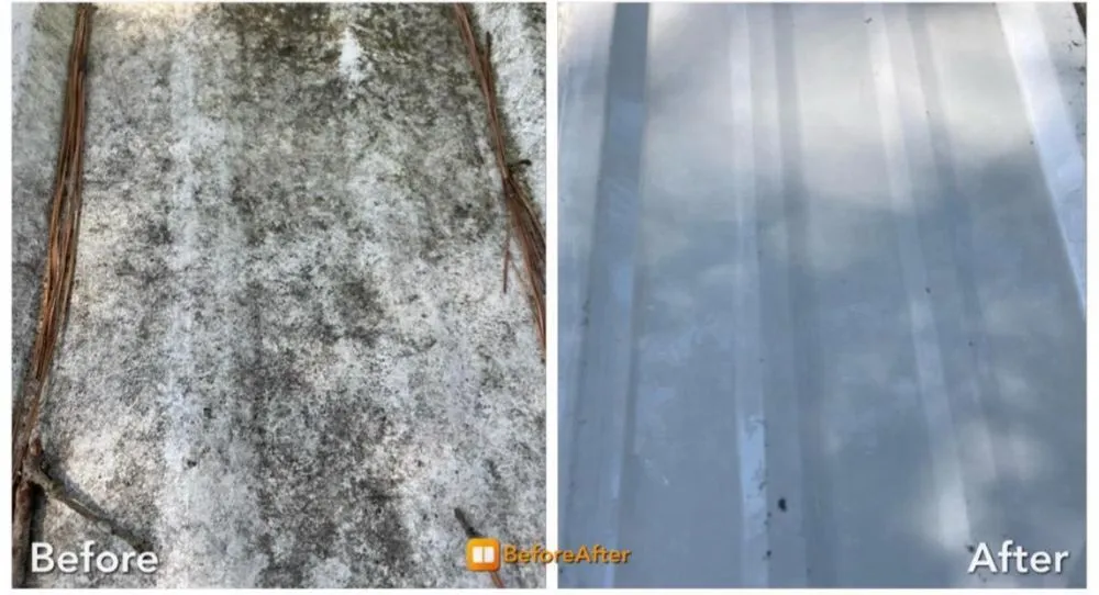 Slide of Xclusiv Klean