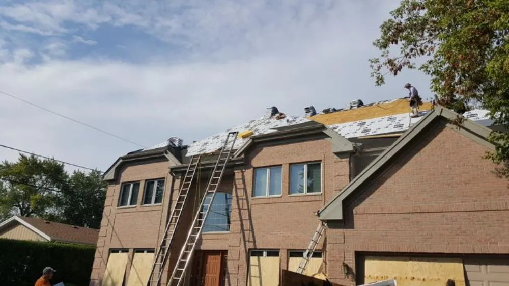 Slide of Xpert Project