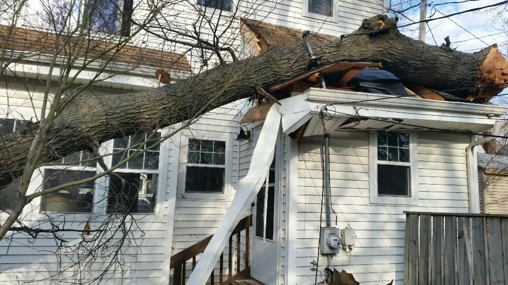 Slide of Xpert Roofing