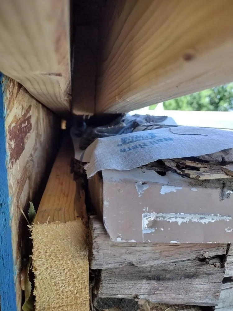 Slide of Xpress Construction & Services