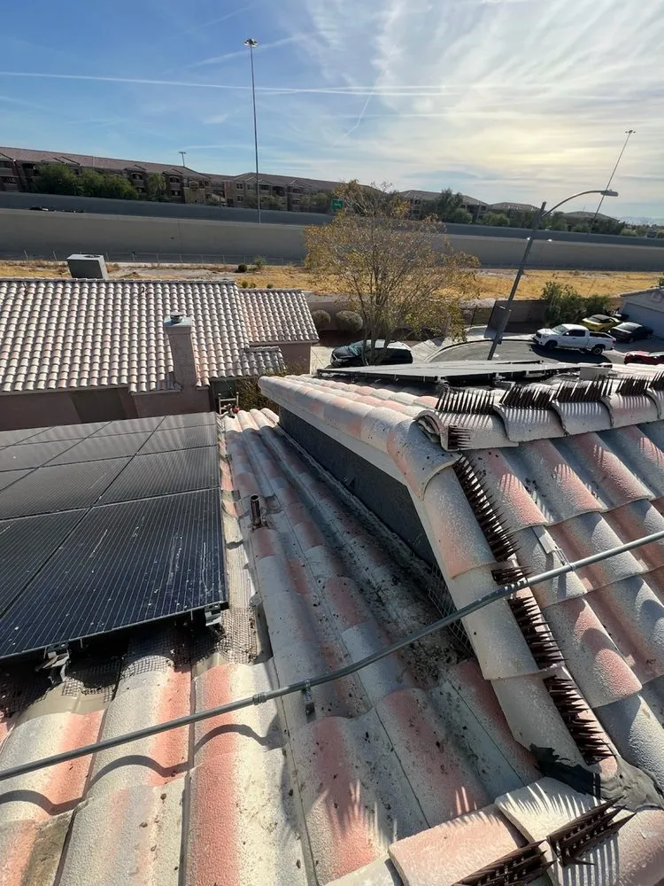 Slide of X’s roofing