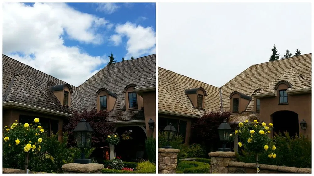 Slide of Xtreme Clean Softwash