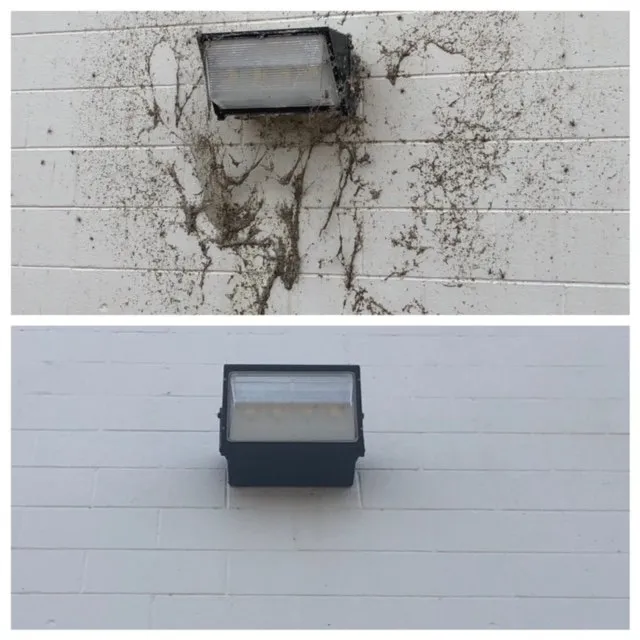 Slide of Xtreme Clean Softwash