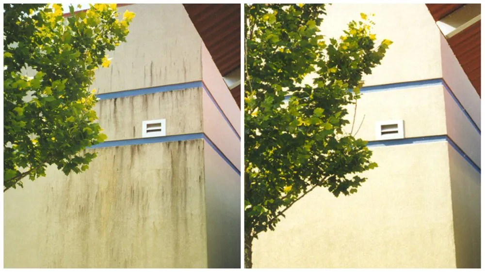 Slide of Xtreme Clean Softwash