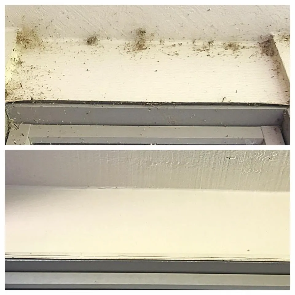 Slide of Xtreme Clean Softwash