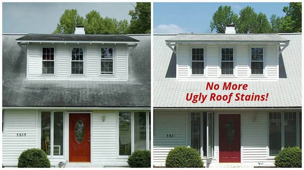 Slide of Xtreme Clean Softwash