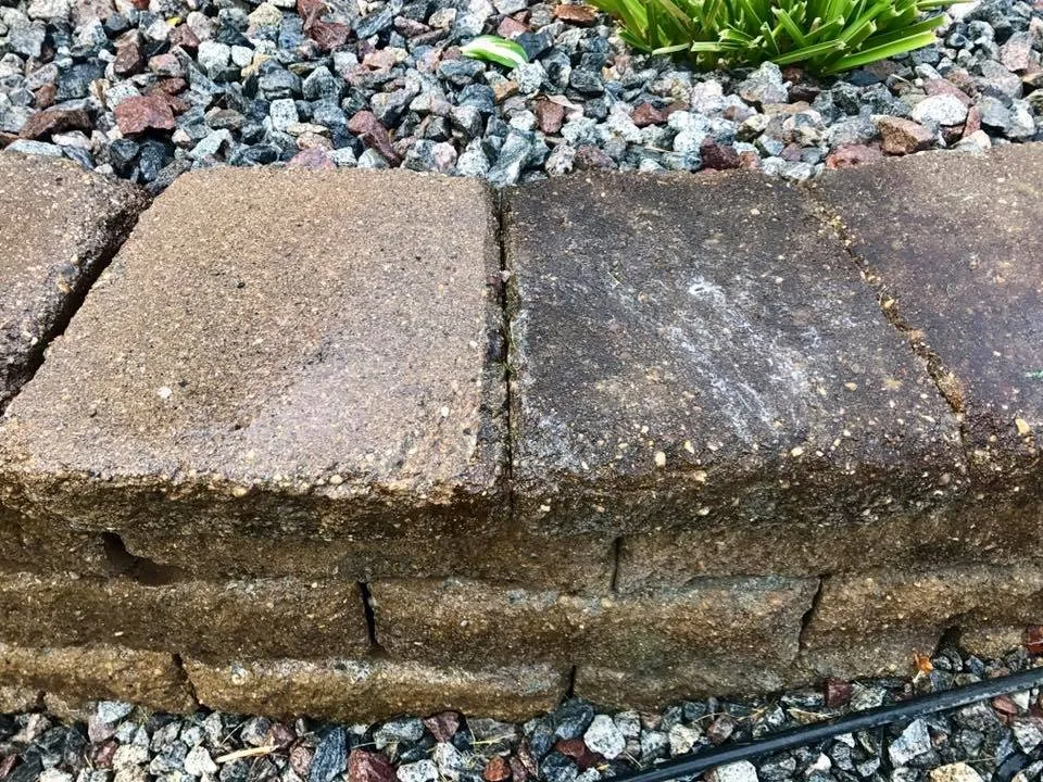 Slide of Xtreme Clean Softwash