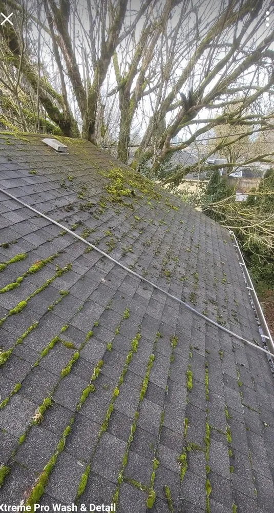 Slide of Xtreme Pro Wash & Detail