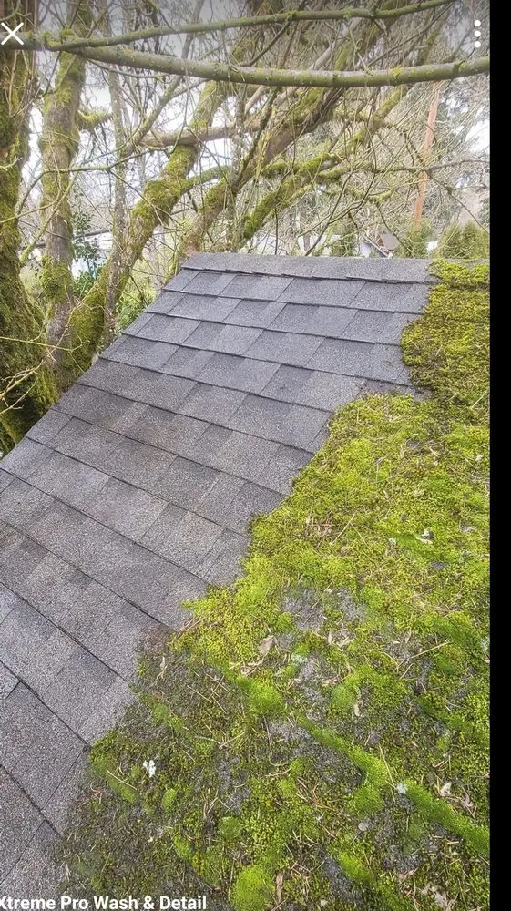 Slide of Xtreme Pro Wash & Detail