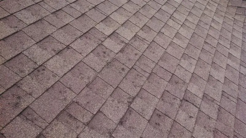 Slide of Xtreme Roofing - New Braunfels