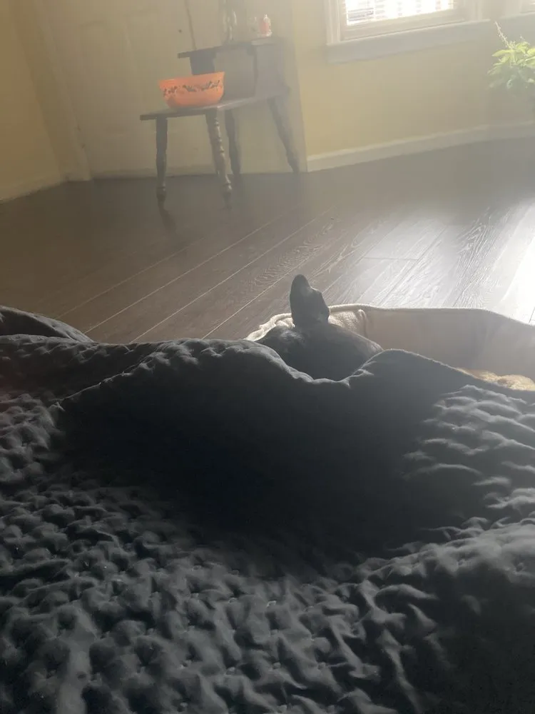 Slide of Xtreme Roofing & Home Improvement