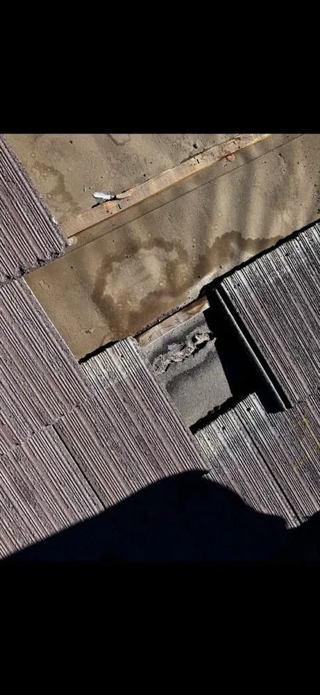 Slide of Xtreme Roofing