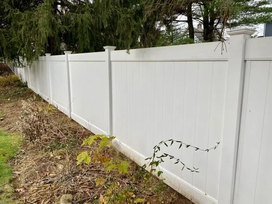 XYZ Pressure Washing and Roof Cleaning