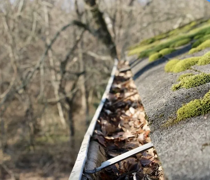 Slide of YAI Home Improvement