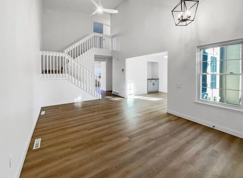 Slide of Yellow Jacket USA