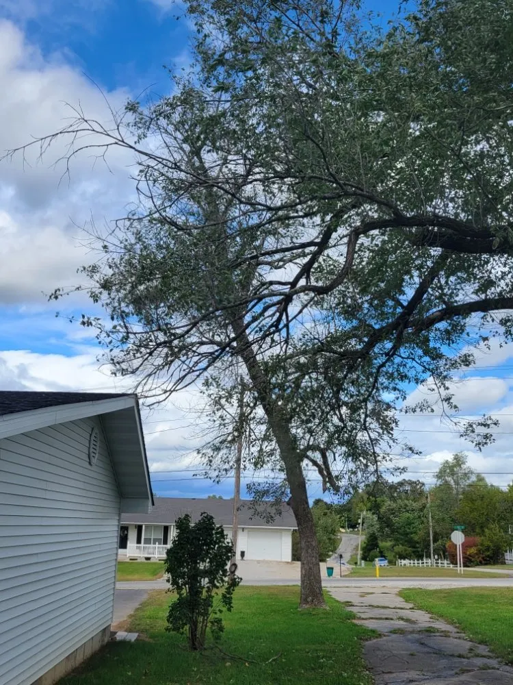 Slide of Yellow Leaf Landscaping
