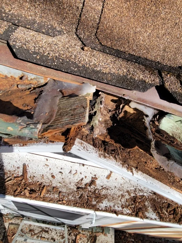 Slide of Yellow Leaf Landscaping