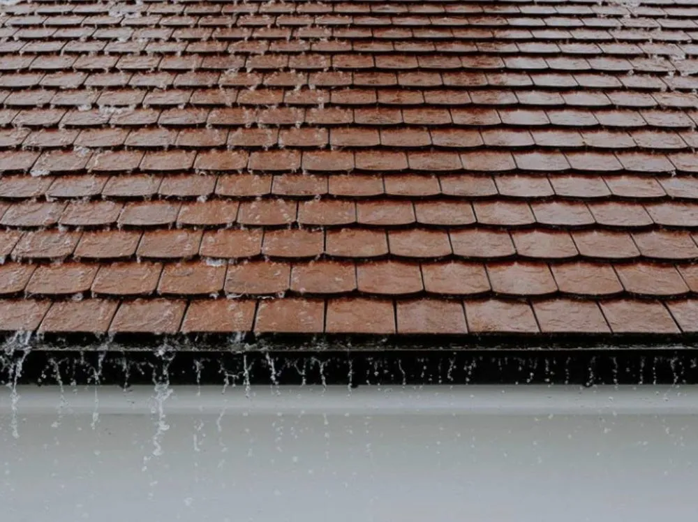 Slide of Yellowball Electric + Generators