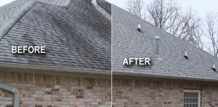 Slide of Y.G. Professional Services